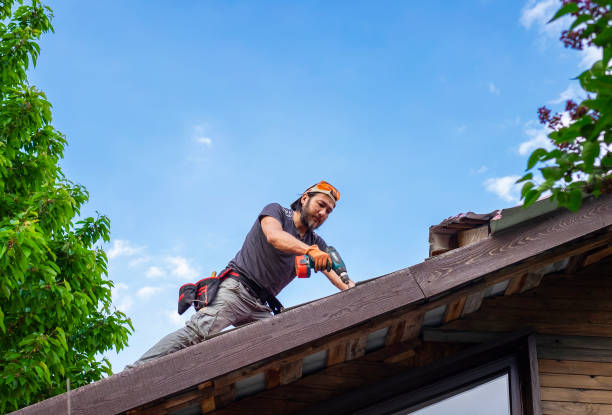 Best Rubber Roofing (EPDM, TPO)  in Dyer, TN